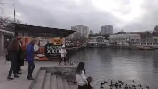 Утки в городе..Севастополь. Ноябрь. Артбухта...