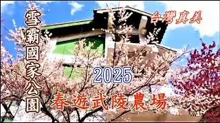 2025 春遊武陵農場