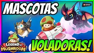 ▶️ LAS MEJORES MASCOTAS VOLADORAS PARA CADA CLASE!! 🍄 Legend of Mushroom 🍄