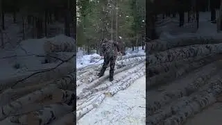 Пилка леса , заготовка дров !!!✊💪💪💪