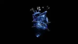 VIDA - Veled akarom | OFFICIAL VISUALIZER