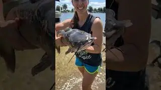 New personal best catfish at the lake! #fishing #catfish