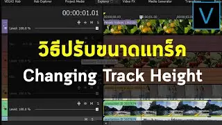 วิธีปรับขนาดแทร็ค ในโปรแกรม Vegas Pro - Changing Track Height