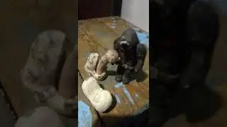 скибидисты или альянс?#1 биба и боба против скибиди туалетов