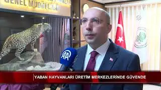 Yaban hayvanları üretim merkezlerinde güvende