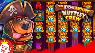 THE DOG HOUSE MUTTLEY CREW MAX WIN ☠️ COMMUNITY MEMBER WIN