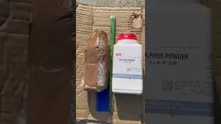 मधुमक्खी की दवाईं  ख़रीदें // beekeeping disease treatment of Bees #viral #shorts #bee #honeybee