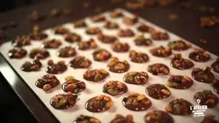 Les chocolats de Josepha à Castres