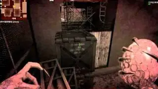 KAVA | Infection/Zombie Dual Site Part 1