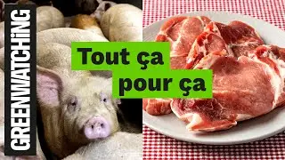 Peut-on nourrir le monde sans élevage industriel ? - GREENWATCHING #11
