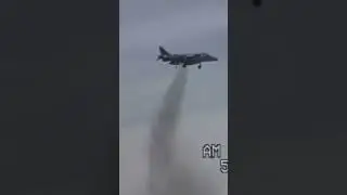 Harrier