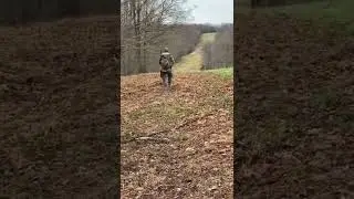Deer unbothered by turkey hunter Tioga County, PA