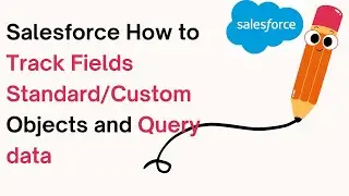 Salesforce How to track fields of standard/custom objects and query data