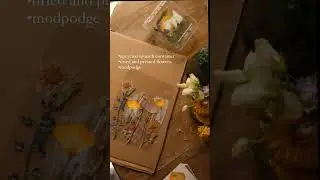 ফেলে দেয়া প্লাস্টিক আর ফুল দিয়ে সুন্দর ডেকোরেশন আইডিয়া 😍 #craft #flowers
