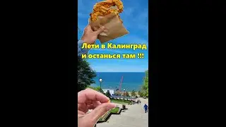 Калининград - РОССИЯ или маленькая Европа ?) Куда съездить в 2023 году БЕЗ ВИЗЫ