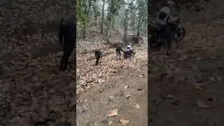 Live accident | always help others #shorts #shortvideo #viral