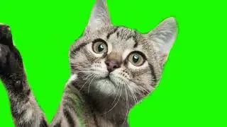 Best Green Screen combination [No Copyright]