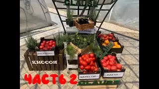 Совместный семинар ТД Киссон и Валам-ЮГ (2021)