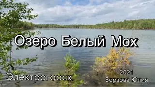 Озеро Белый Мох .Электрогорск 2021