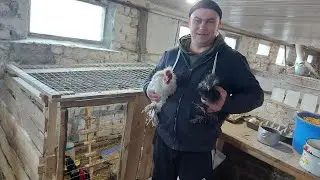 Они будут вместе.