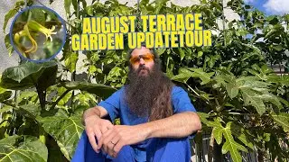August Terrace Garden Update 🌿 | Tropical Experiments in Brussels