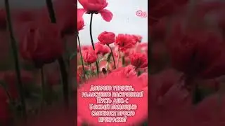 Благословенного дня!