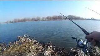 Рыбалка.Днестр 2017