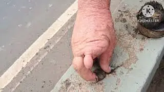 Pegamos no rio, é  uma relíquia...