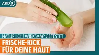 Aloe Vera gegen Sonnenbrand und als Hautpflege: Wie wirksam ist die Heilpflanze? | ARD GESUND