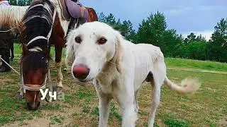 Конный переход по сакральным местам