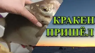 Шикарный клев Лещей !День 2-ой! Выкормил точку! Яузское ВДХР! Часть 2