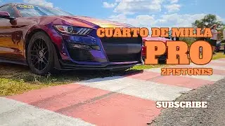 Cuarto de Milla Pro Septiembre 2024 | 2PISTONES