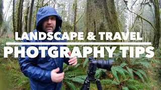 Rainforest landscape photography tutorial
