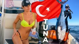 Spear Fishing Adventure: Diving Deep For Bluefin Tuna On A Single Breath