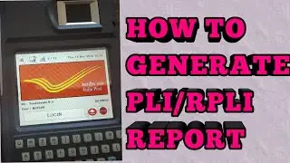 pli report generation