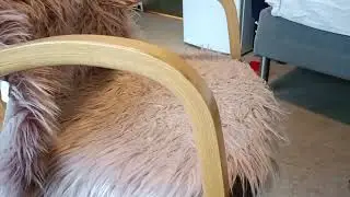 Ранок, реабілітація.
