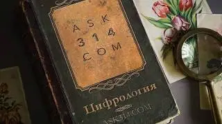 Как я убила лося. ЦИФРОЛОГИЯ - ask314.com