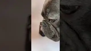 Скидочка будет, если вы напишите мне в inst: my.petelka 🫶🏻 Там еще больше брелоков 🙌🏼💥