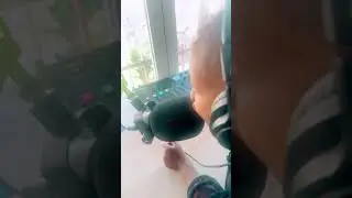 Creando contenido desde pequeños parte 2