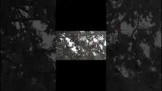 Просто решил прогуляться, и записать это на камеру