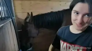 КОННЫЙ КЛУБ "GELIOS"