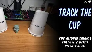 ASMR | Track the Cup (No Talking)