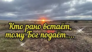 НАШЕЛ ПОДХОДЯЩЕЕ МЕСТО !!! ТЕСТИРУЕМ ОБНОВУ ДЛЯ КОПА МОНЕТ . #металлопоиск #коп монет  #клады
