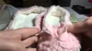 Mixin Fuzzy Slippers