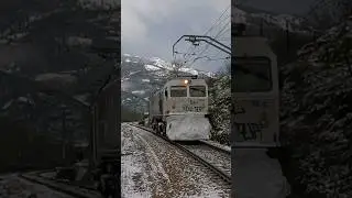 319.405 por La Frecha🏔️❄️🚂 4/1/2021
