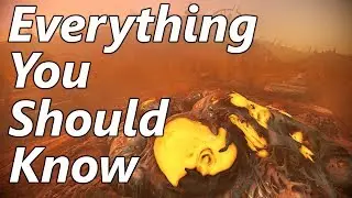Warframe | Operation Plague Star Guide and Overview