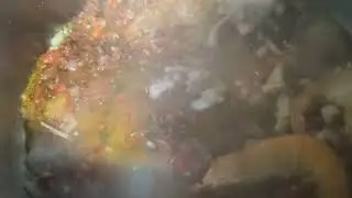 Fondo mariscal