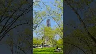 Pitt and green space go hand in hand! 🌱🌿