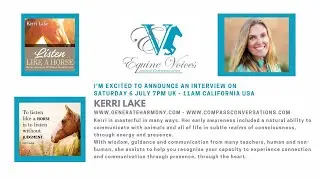Podcast Interview with Kerri Lake - www.generateharmony.com
