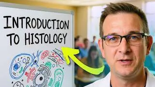Histology Fundamentals: The Complete Overview